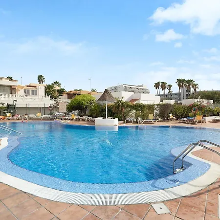 Geranios 82 * 아데제